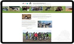 https://klm-hh-mv.de/