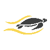 SEO-Turtles