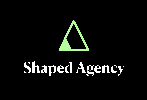 Shaped Agency |Interface Design & Branding