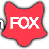 Webdesign Fox